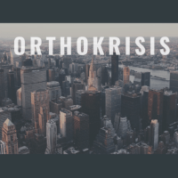 Simon Sinek on Work-Life Balance – stephenboutrywords